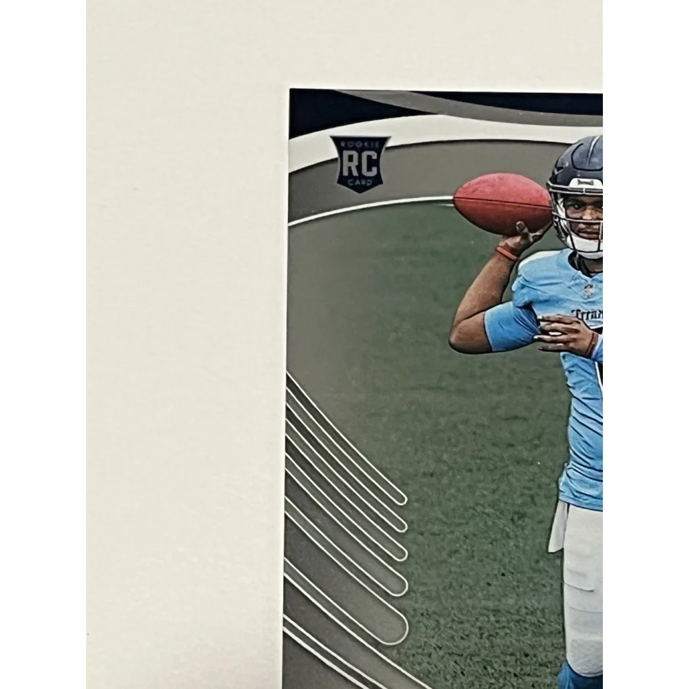Panini this 2025